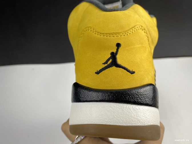 Chep Onekick T23 5 Retro Air Tokyo Jordan 454783-701 0703
